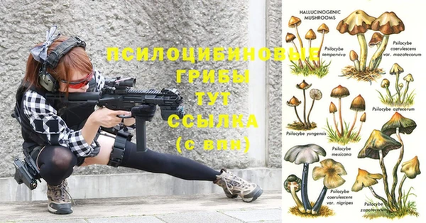 МДПВ Лиски