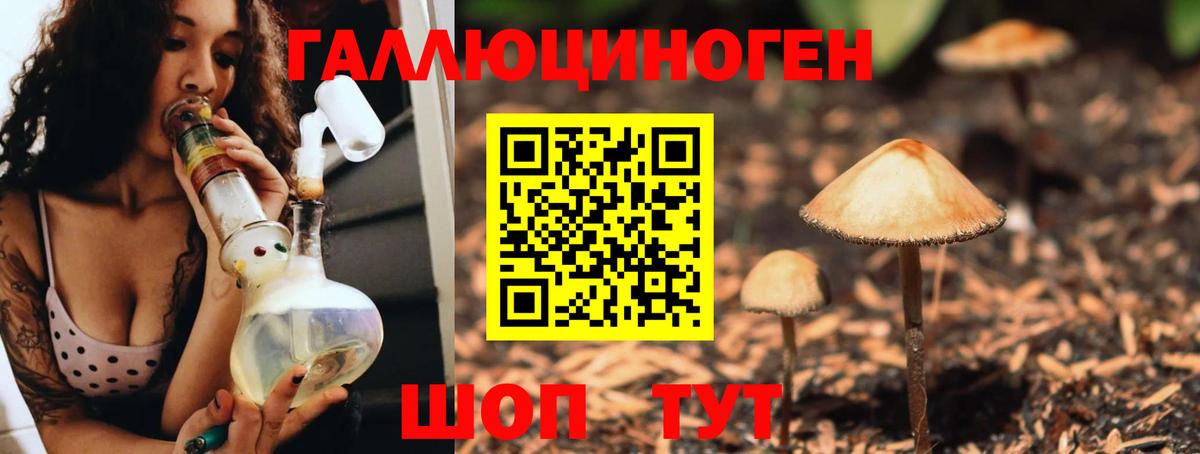 Псилоцибиновые грибы мицелий Саратов