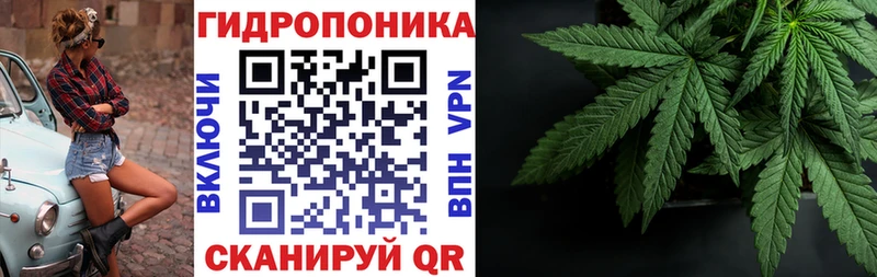 закладка Саратов Каннабис план